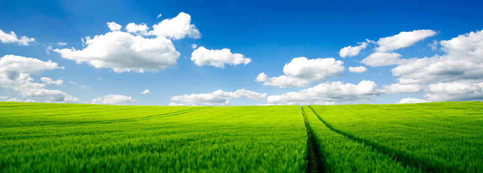 Хромомарин