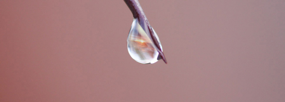 Селеномарин